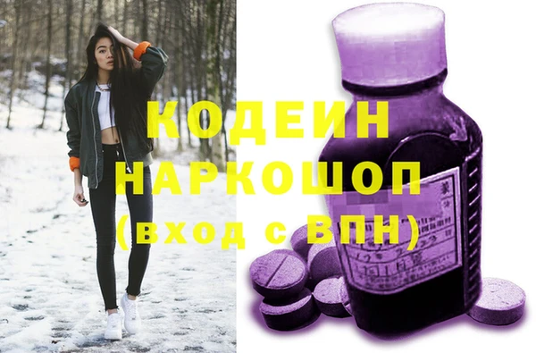 гашик Лабытнанги