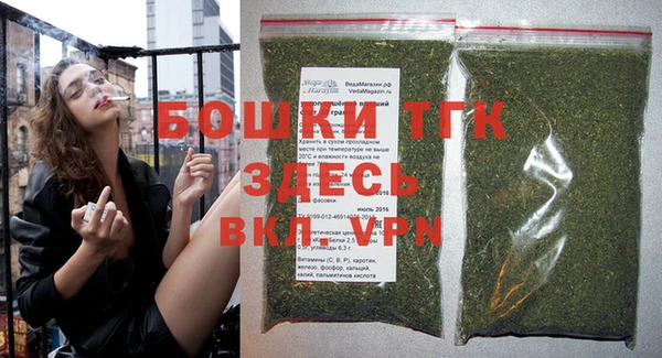 дурь Пересвет