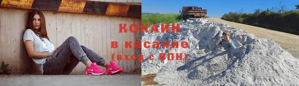 молекула духа Нягань