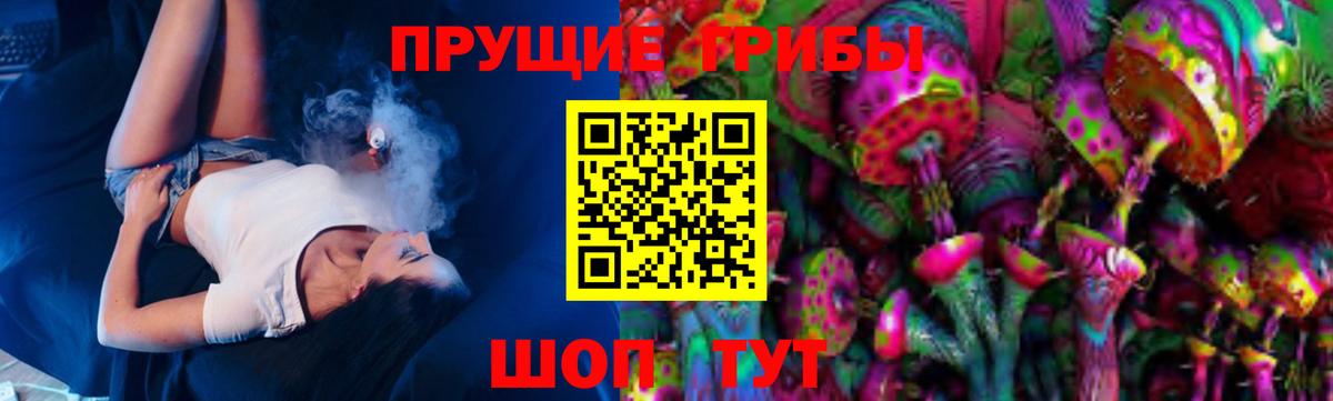 Псилоцибиновые грибы Psilocybe Южноуральск